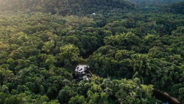 Drones para monitorar florestas