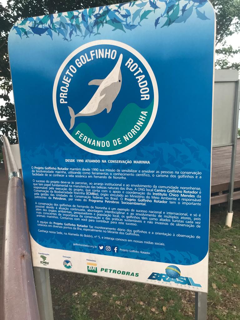 Golfinho Rotador